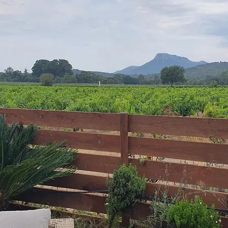 Villa Mas Des Touailles Hyeres