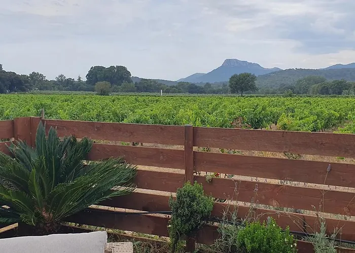 וילה Mas Des Touailles הייר